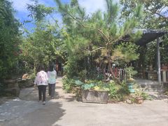 -罗浮山·罗园农庄