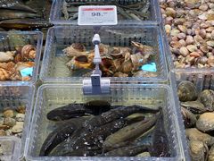 鲟虎鱼-王庄阿咪海鲜大排档(象园店)