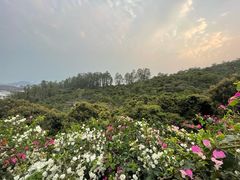 -小南山公园