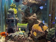 -太平洋海底世界