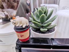 -缶乐FOLLOW咖啡