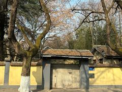 -颐和路民国时期公馆风貌区