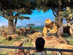 -国家自然博物馆