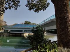 -成都市活水公园