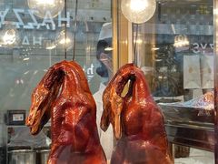 -顺城金记卤鸡·清真