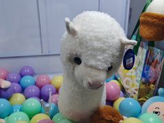 -涨巢·潮玩水疗局