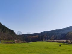 -武陵山森林公园