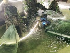 -邛海景风火盆烧烤(大石板古村二分店)