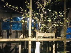 -穹六人间 people 6(岳阳路店)