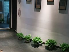 -东方菩提养生SPA馆(武昌总店)