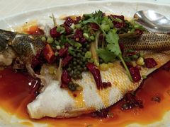 -北海渔村酒楼·粤菜海鲜点心(新华店)