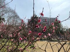 -南京航空航天大学(明故宫校区)