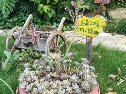 -福州儿童公园