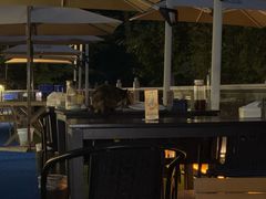 -丽泽山庄·生态怀柔菜·虹鳟鱼(红螺寺店)