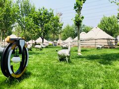 -九十九顶毡房(阜石路店)