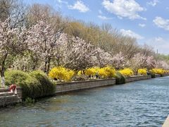 -元大都城垣遗址公园