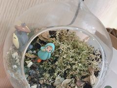 -Husky Go! 哈士奇体验馆·宠物咖啡厅狗咖