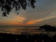 -宝安西湾红树林湿地公园