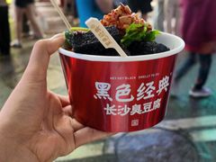 -黑色经典臭豆腐·湖南特产(坡子街店)