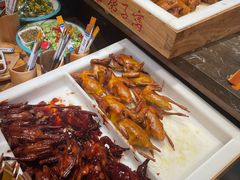 -鸽子窝(青塔店)