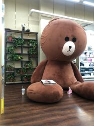 -JM STYLE造型明星.网红