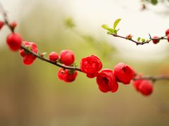 -共青国家森林公园-售票处