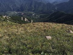 -白草畔自然风景区