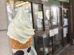 -神户市立六甲山牧场