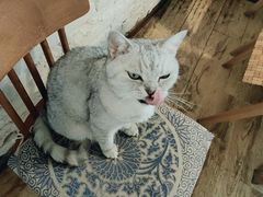 -不舍昼夜咖啡馆