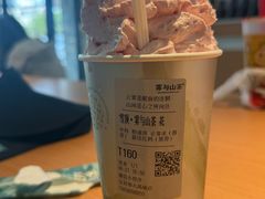 -雾与山茶(大禹城店)