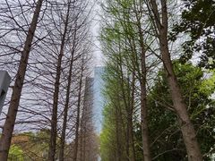 -中国（江苏）自由贸易试验区苏州片区一站式服务中心