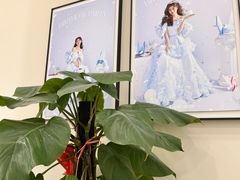 -HIMO海马体照相馆(上海华润CP静安店)