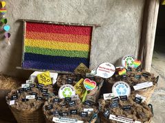 -大象粑粑造纸公园