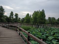-董永七仙女文化园