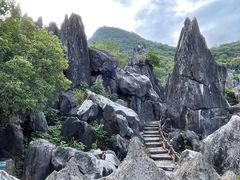 -玉石林风景区