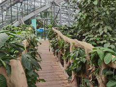 -南山植物园