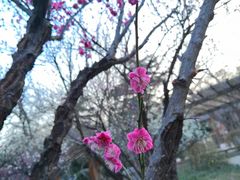 -山东大学(趵突泉校区)
