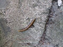 -溪口-滕头旅游景区