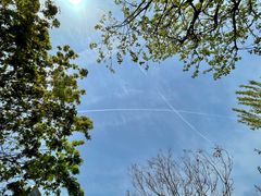 -西安创业咖啡街区