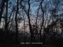 -紫金山山顶公园
