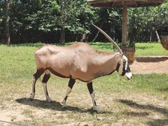 -大连森林动物园