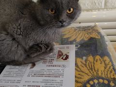 -平行世界·猫咖(首经贸店)