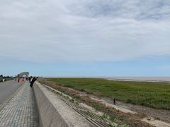 -南汇嘴观海公园