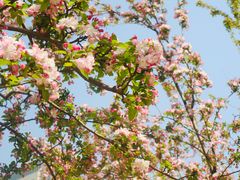 -元大都城垣遗址公园