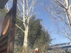 -春晖园度假酒店温泉