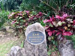 -中国科学院西双版纳热带植物园