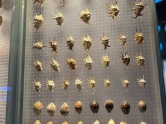 -贝林大翅鲸简餐厅(国家海洋博物馆店)