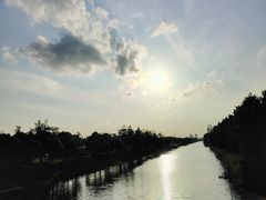 -上海滨江森林公园