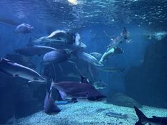 -多彩贵州城极地海洋世界