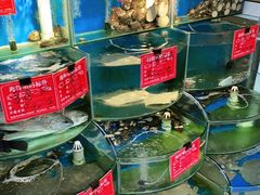 水产区-北戴河庆山饭店·海鲜砂锅粥(北戴河黑石路店)
